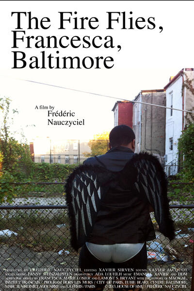The Fire Flies, Baltimore (2012) - Film & video installation 
