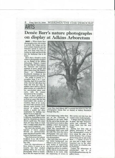 Denée Barr Solo Fine Art Photography Exhibit Nature of Things:  Transformations Within Nature Star Democrat Newspaper Article 2007 