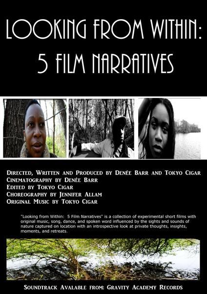 Looking From Within 5 Film Narratives 2013 - 2014 
