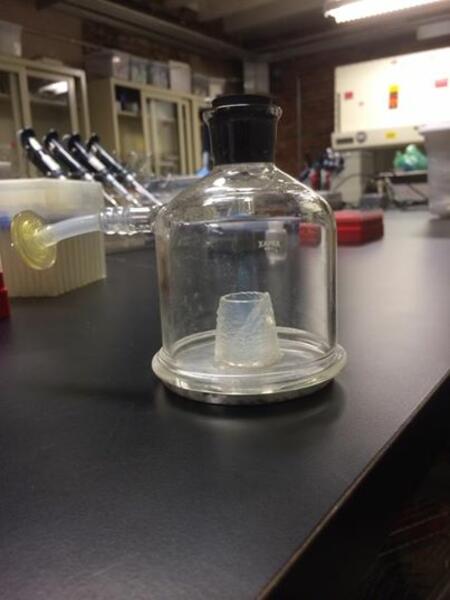Bioprint in lab