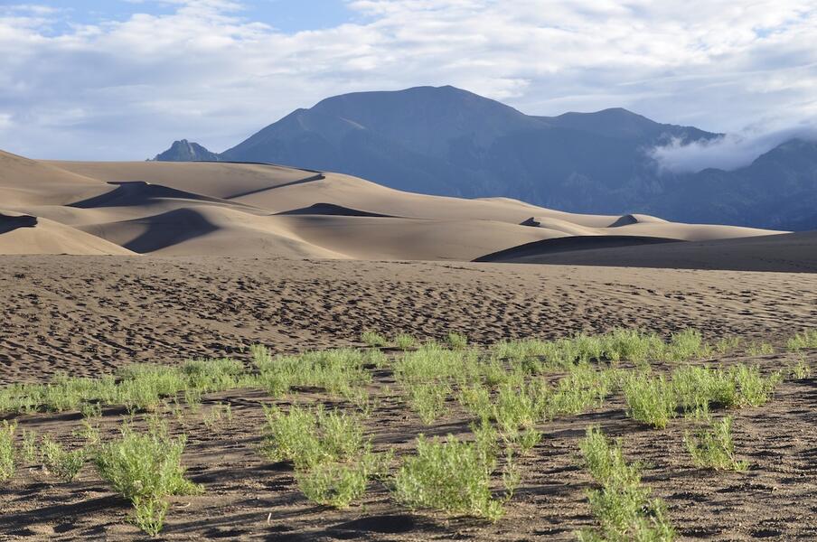 Great Sand Dunes NP #10