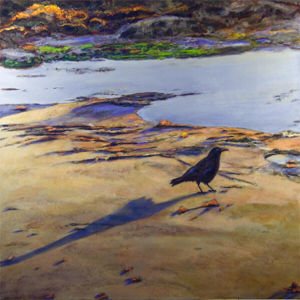 Crow, Monterey, CA