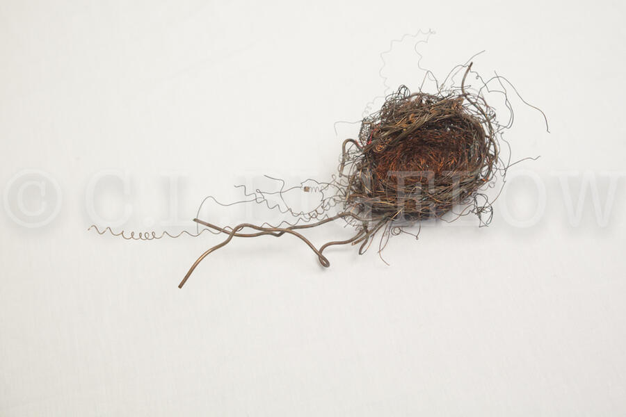 a teeny nest