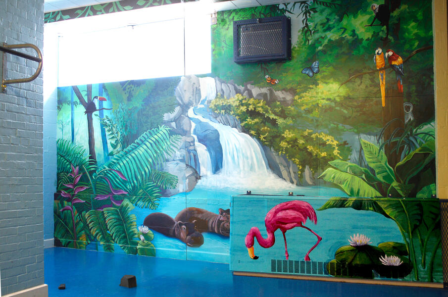 Rainforest MSDR Room