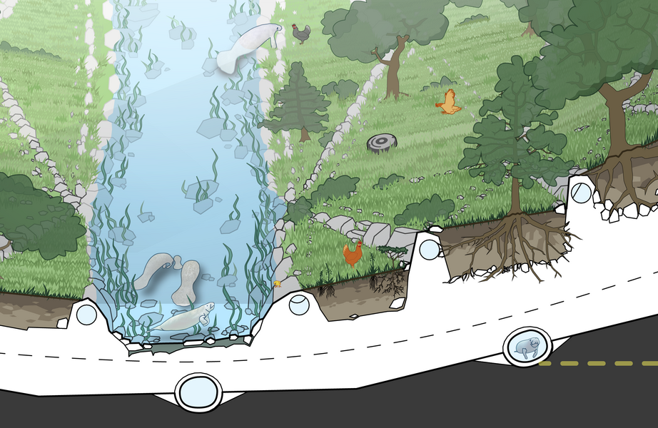 The Lazy River - Cross Section Detail