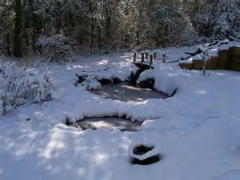 snowy-pond-4.jpg