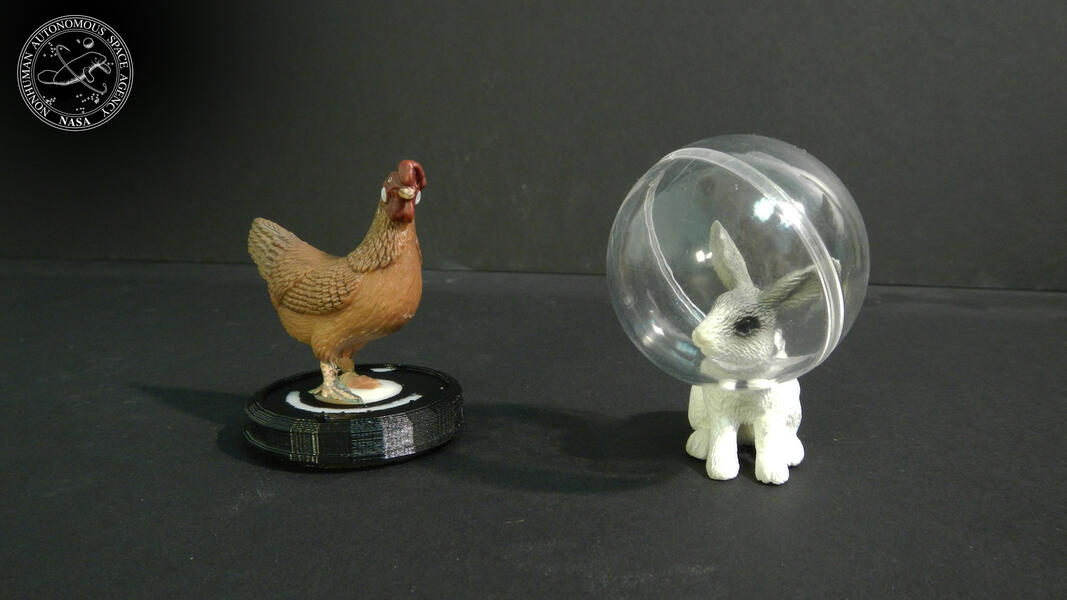 Chicken Roomba and Space Rabbit