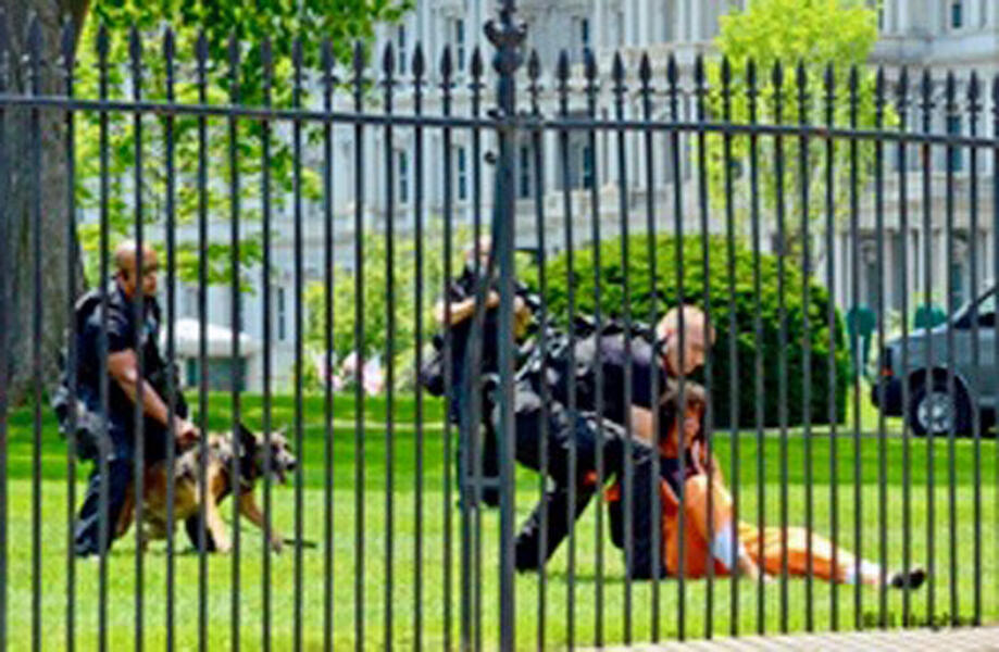 The Arrest of Activist Diane Wilson on the White House Lawn