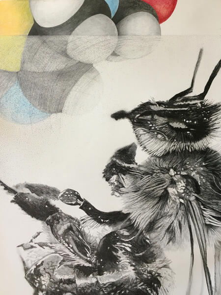 Bee Drawing (In Progress)