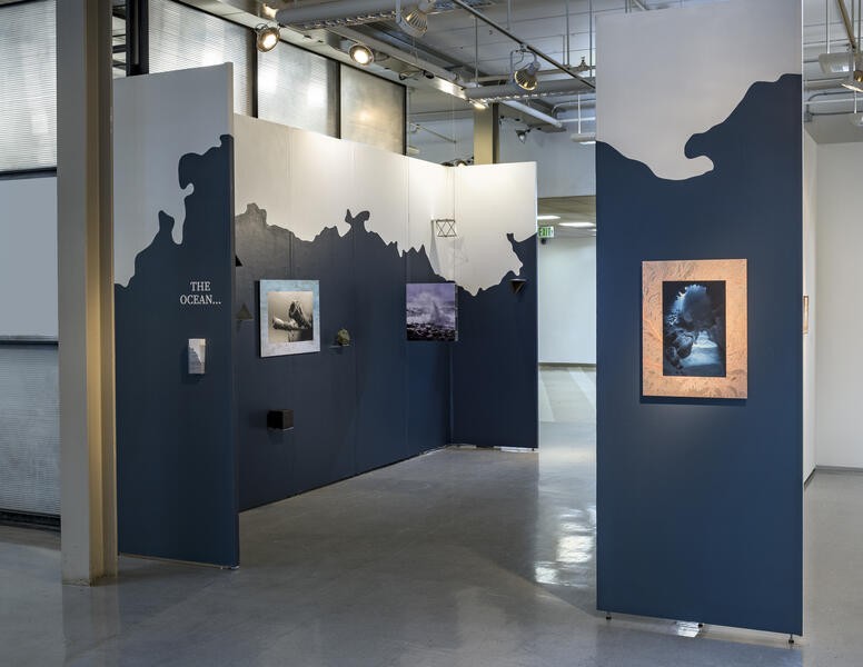 The Ocean - Installation View I