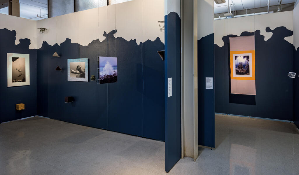 The Ocean - Installation View IV