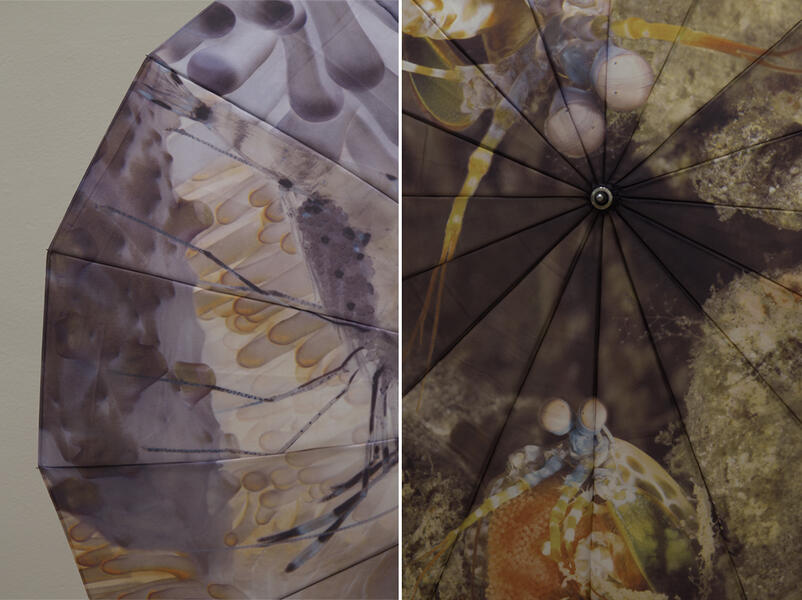 Details from Wall-Mounted Umbrellas