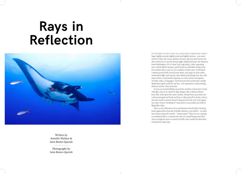 Rays in Reflection, page 1 