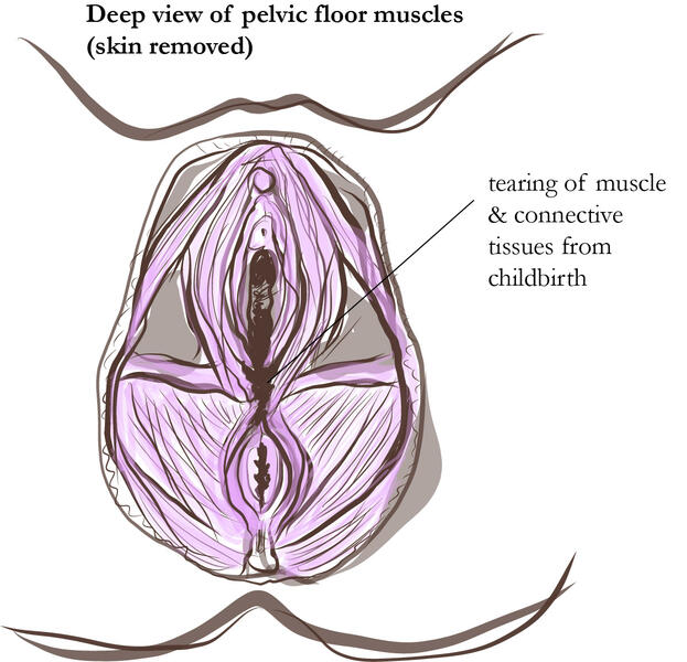 Sample Illustrations from Women's Health Manual 