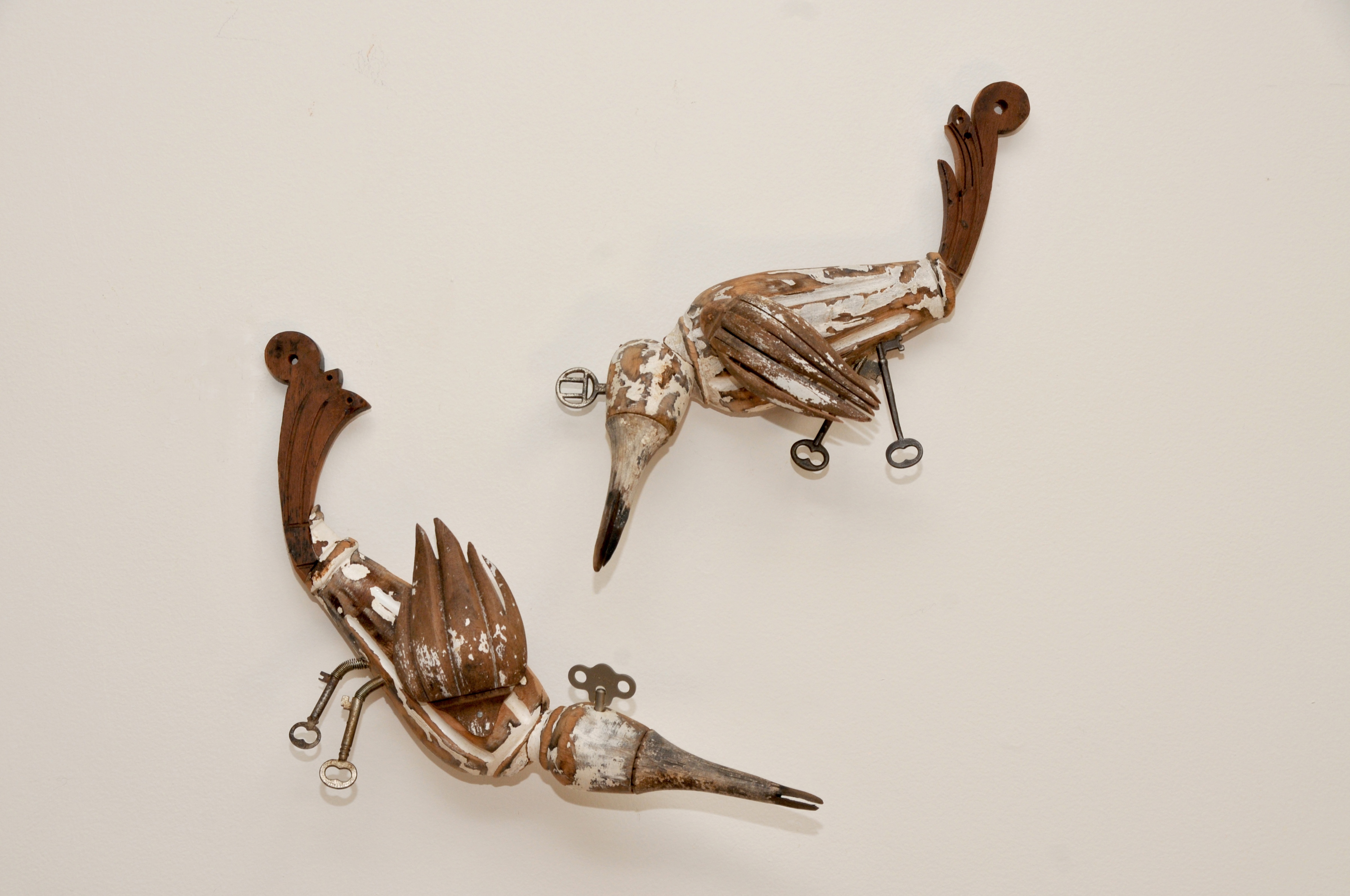 found objects, wall assemblage, bird, avian, mixed media