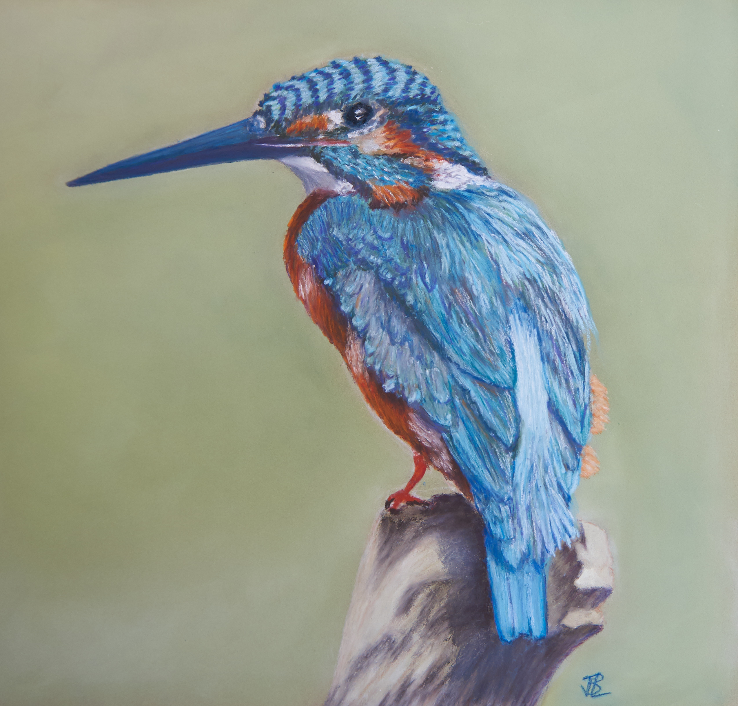 Kingfisher : Drawing with Mungyo Gallery Oil Pastel for the First Time  -STEP by STEP 