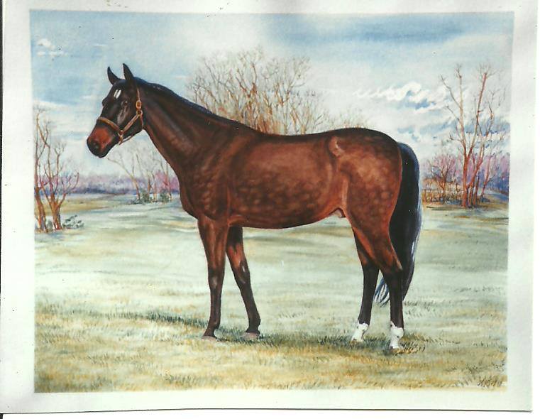 watercolor equine portrait