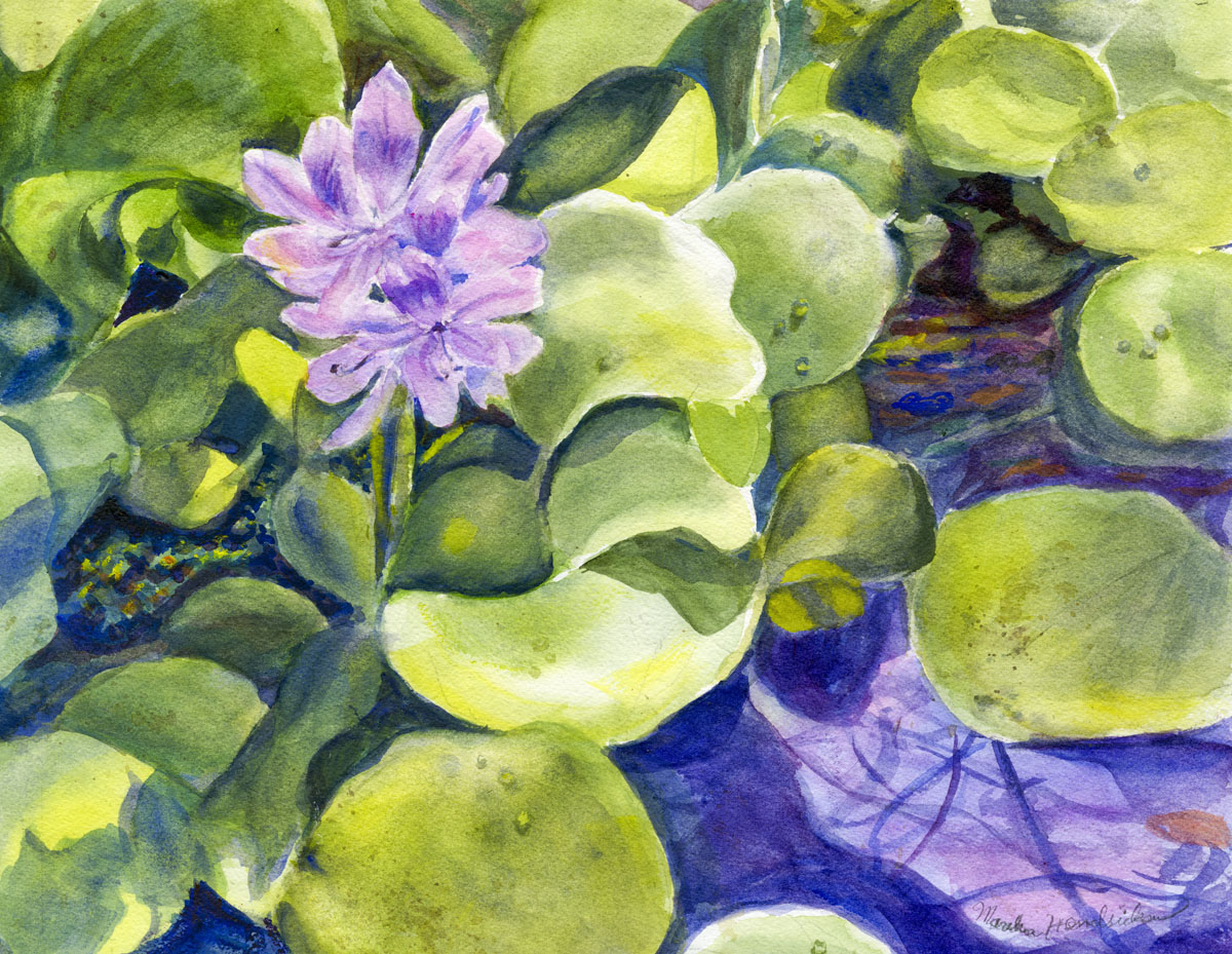 Purple flower on green leaves in water