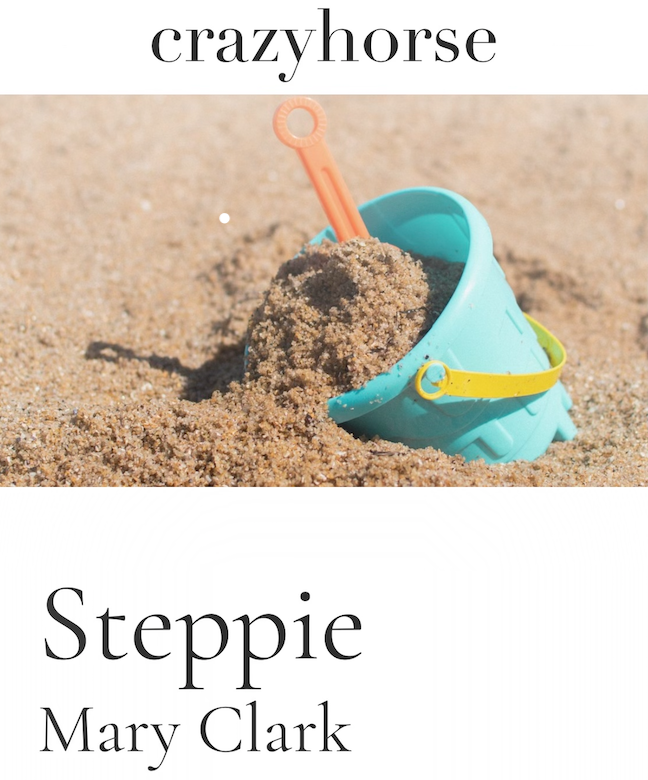 An image of a beach bucket of sand with a shovel and the story title