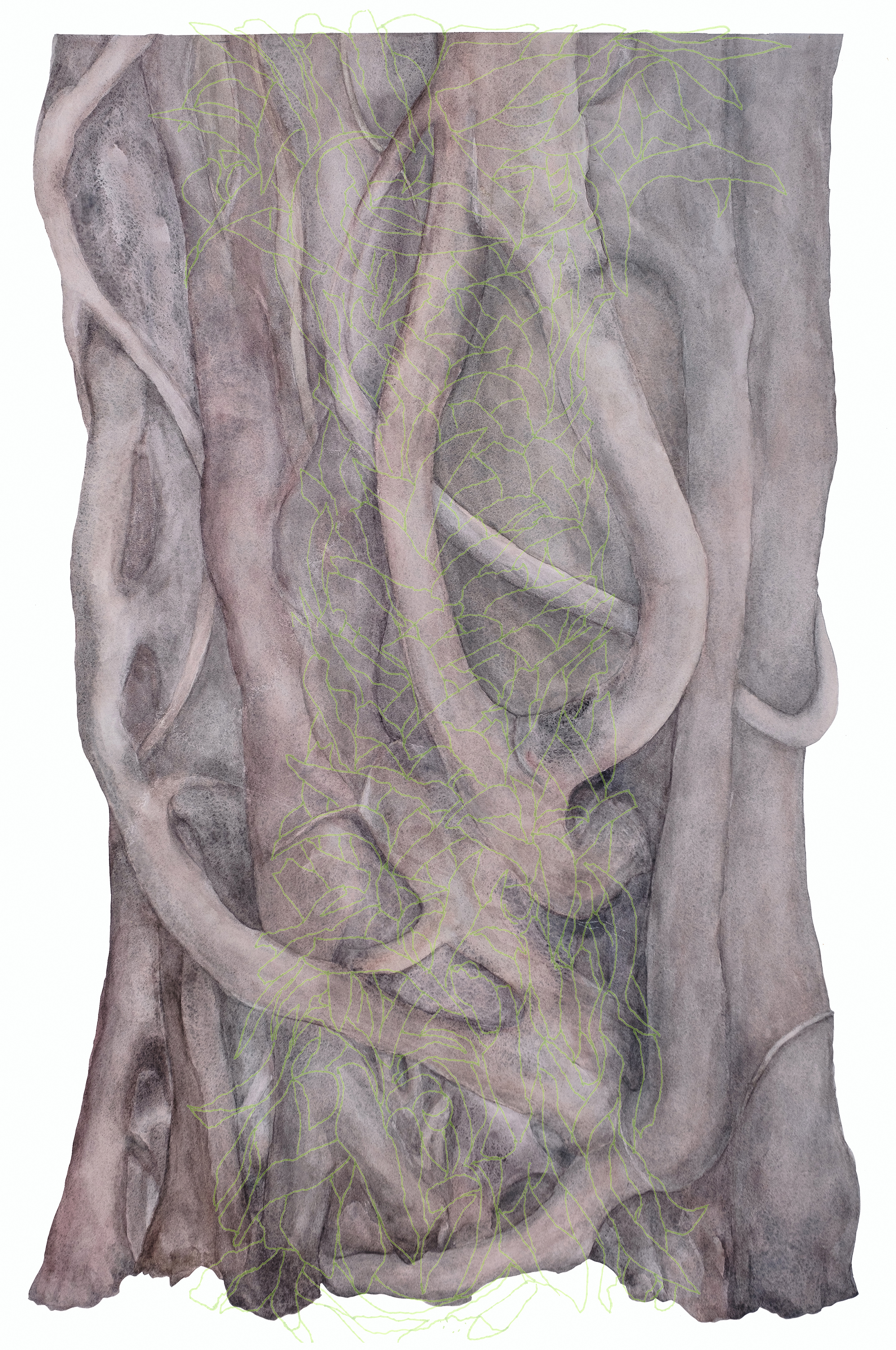 Death by Fig, 2019, Watercolor on paper and digital print om Plexiglas, 36.25” x 23”