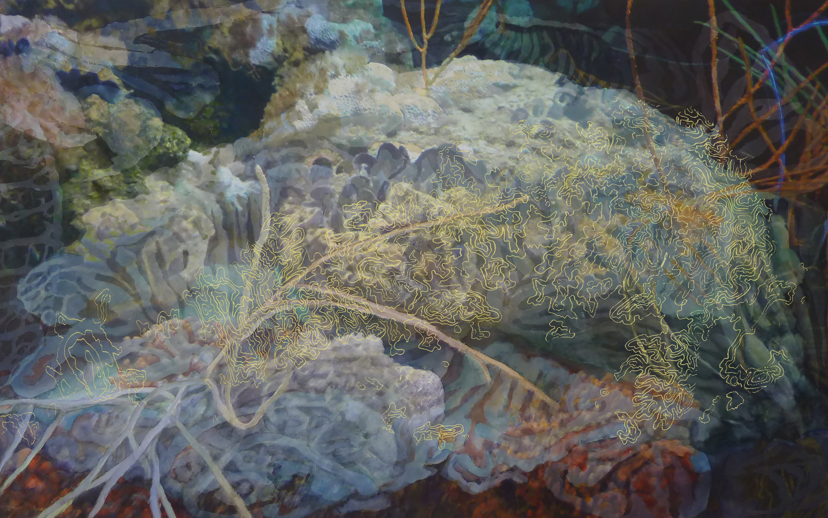 Reef, 2017, Watercolor, archival pigment print on paper & Plexiglas, 29” x 44”