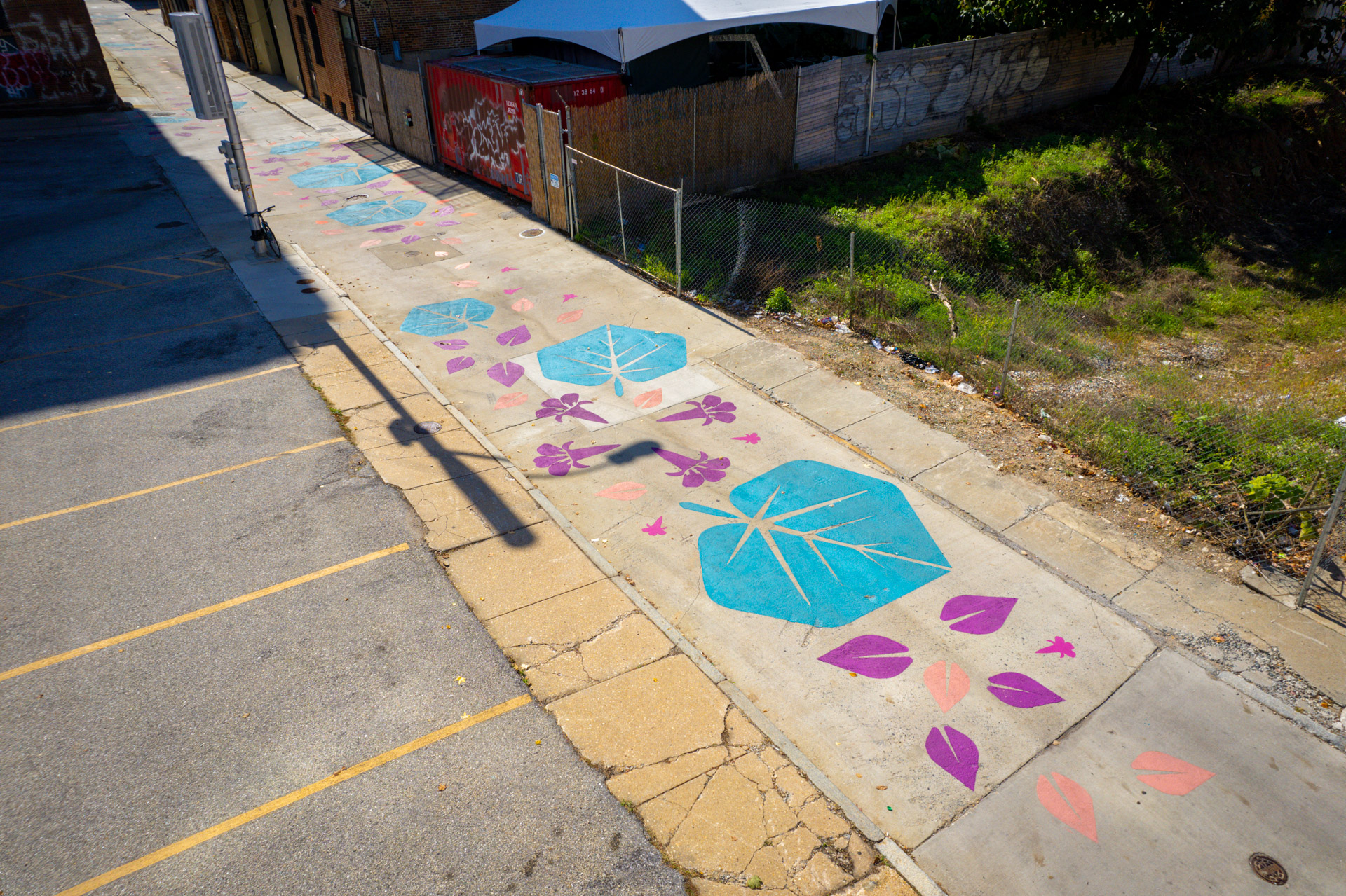 Bromo Painted Path birds eye view at Tyson Street and Franklin Street.