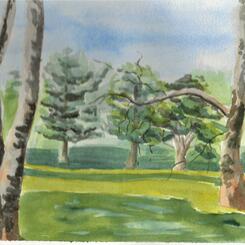 Cylburn Arboretum  8x10