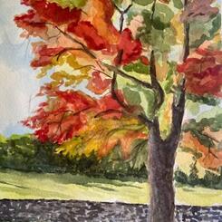 Fall Tree  6x9