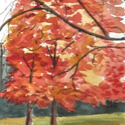 Red Tree  6x9
