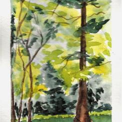 Stoney Run Trees  6x9