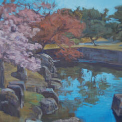 Kyoto, Nijo Water Garden, Looking East