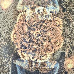 Time is an Unreliable Narrator