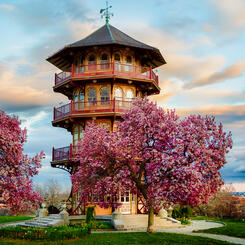 Pagoda in Spring