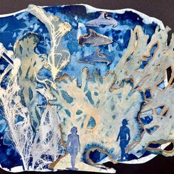 Shark Infested Waters