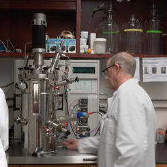 Ecobiont: Regeneration