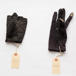 Library of Lost Gloves & Lost Loves