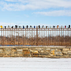 Library of Lost Gloves & Lost Loves