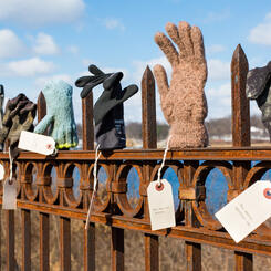 Library of Lost Gloves & Lost Loves