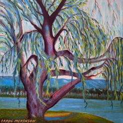 Weeping Willow X at Giverny 