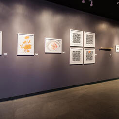 OSAYCANYOUSEE installed in 2012