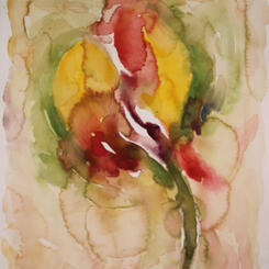 Like Light Sound or Language