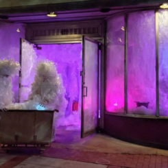 (dirty~clean)CLEANERS (detail of performance during Covid)