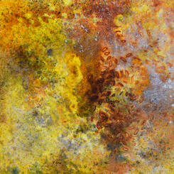 Divisions: Surprised by Seeds