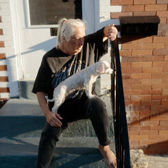 A woman and her dog watch the sunset from their stoop in Millhill.