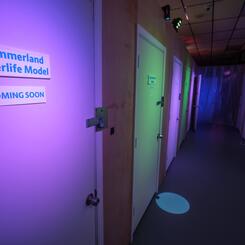 The Boundary: A Life and Death Experience