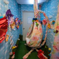 The Boundary: A Life and Death Experience