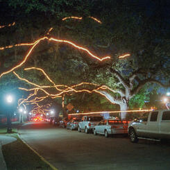 City Park, New Orleans, LA