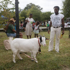 A man and a goat at a back to school event at the Whitelock Farm.