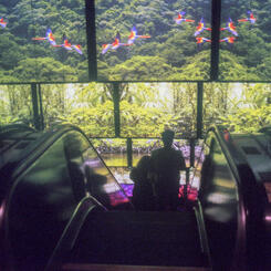 National Aquarium, Baltimore, MD