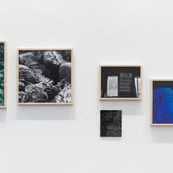 First Last Light Installation Image